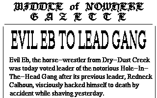 Newpaper article 2